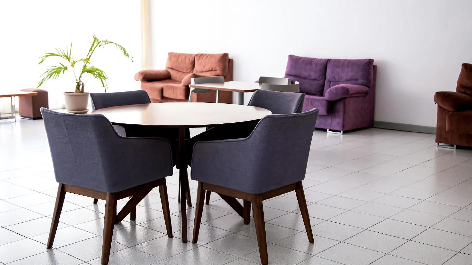 Danico Playa Honda 218 Apartment Playa de las Americas  Playa de las Americas (Tenerife)